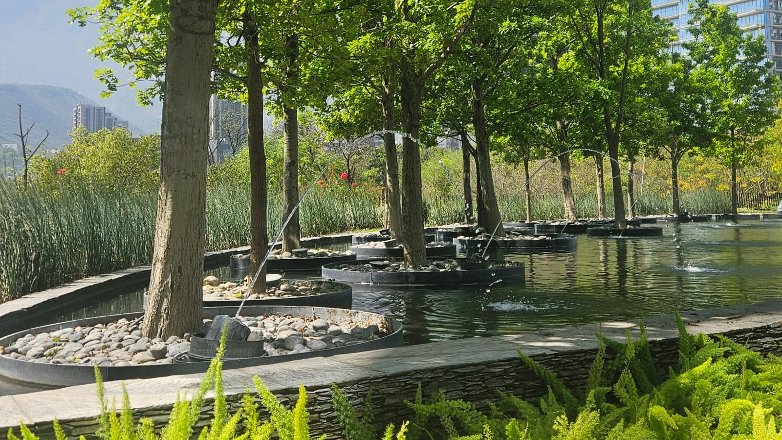 Jardín y espacios de bienestar de Grupo Legado